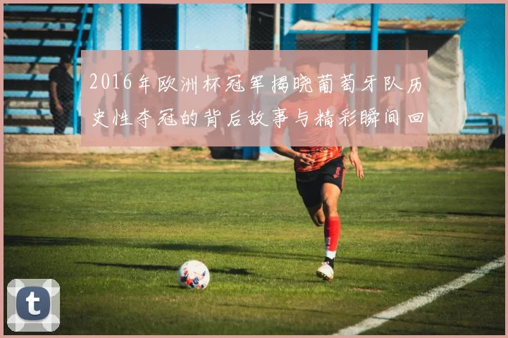 2016年欧洲杯冠军揭晓葡萄牙队历史性夺冠的背后故事与精彩瞬间回顾