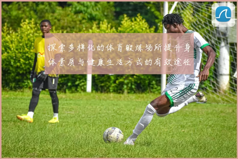 探索多样化的体育锻炼场所提升身体素质与健康生活方式的有效途径